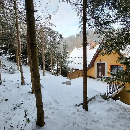 Pod Laskiem Ferienhaus *